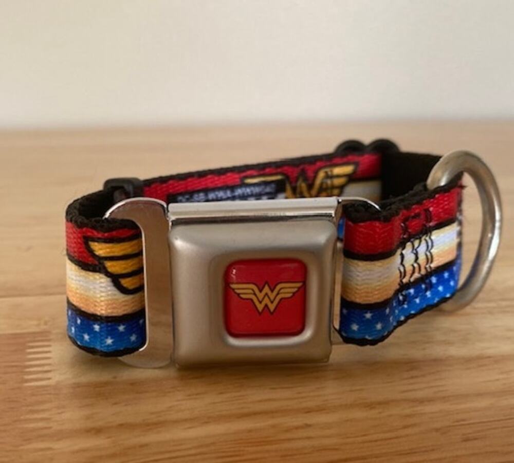 Buckle-Down Wonder Woman Logo Full Color Red Seatbelt Buckle Dog Collar - Small